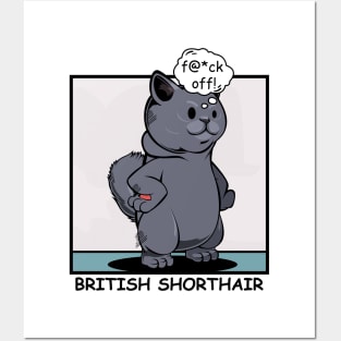 British Shorthair Cat Posters and Art